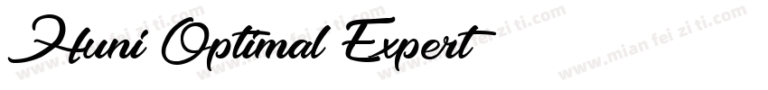 Huni_Optimal Expert字体转换